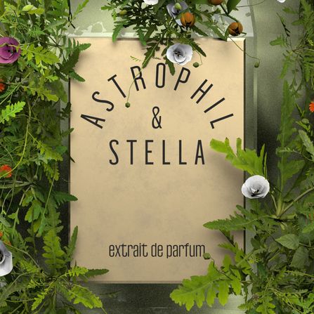 Astrophil & Stella
