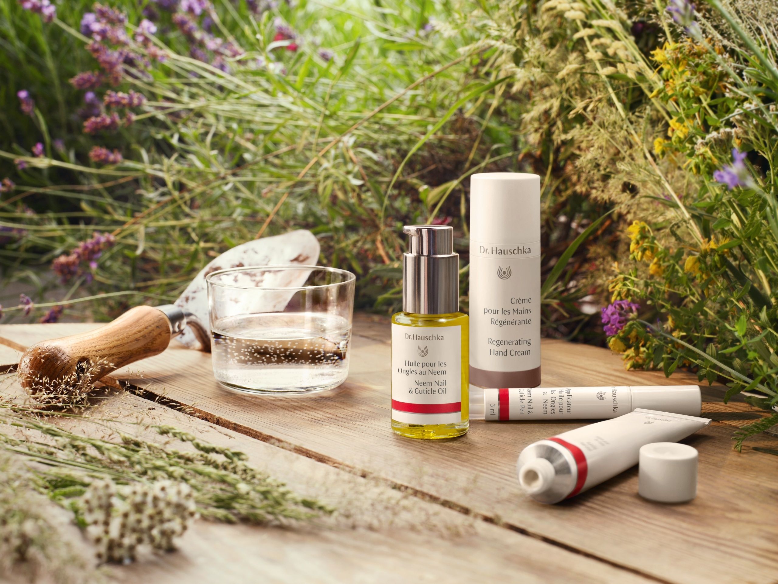 Bio- und Naturkosmetik von Dr. Hauschka 