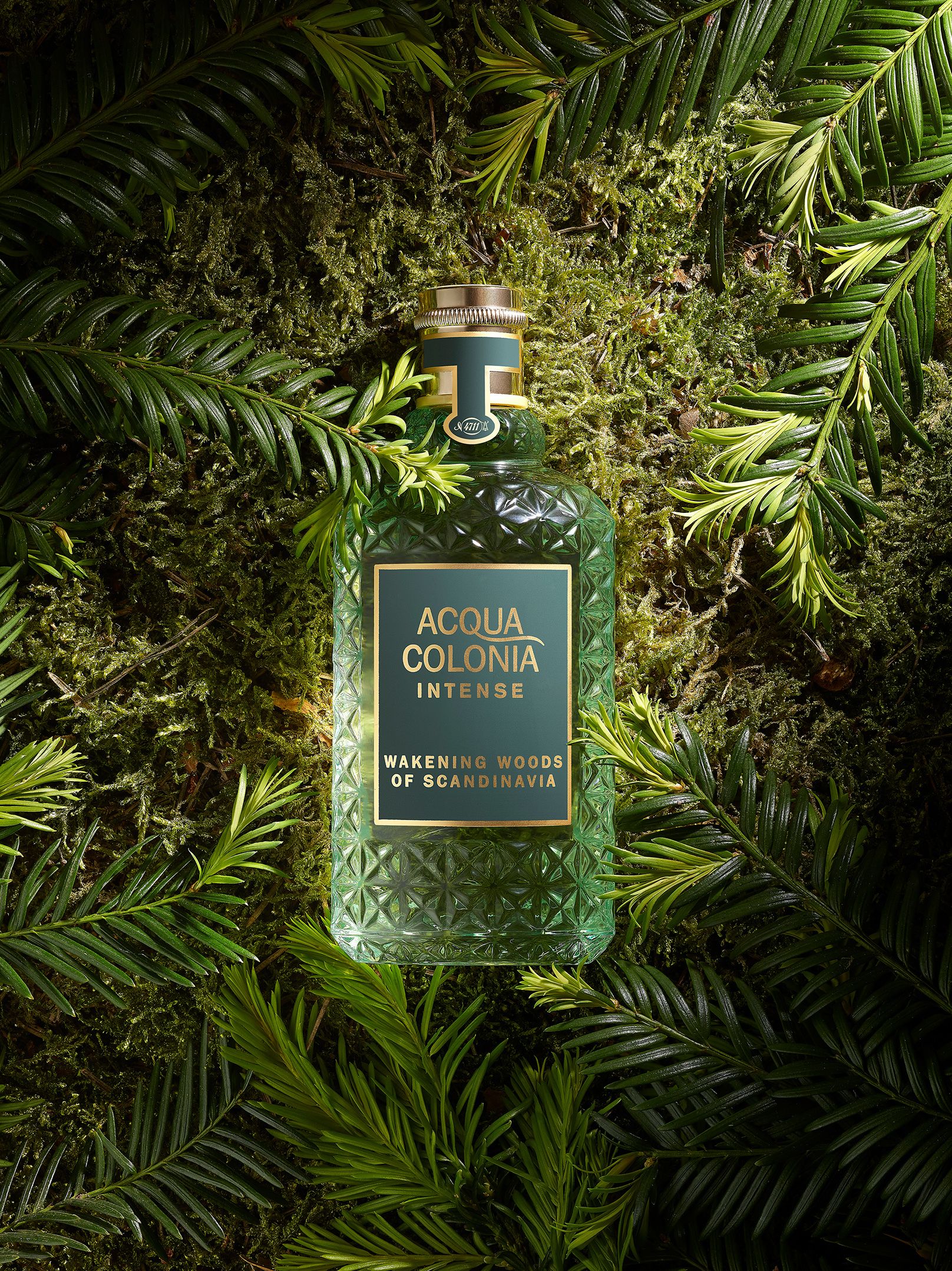 4711 Acqua Colonia Intense